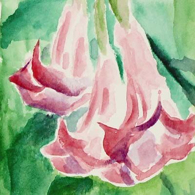 Angel Trumpet, original art postcard BOWE28