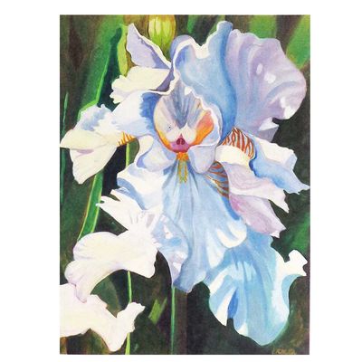 White Iris, large archival print MILE133