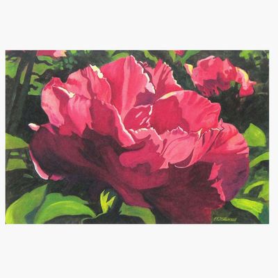 Pink Peony, large archival print MILE134