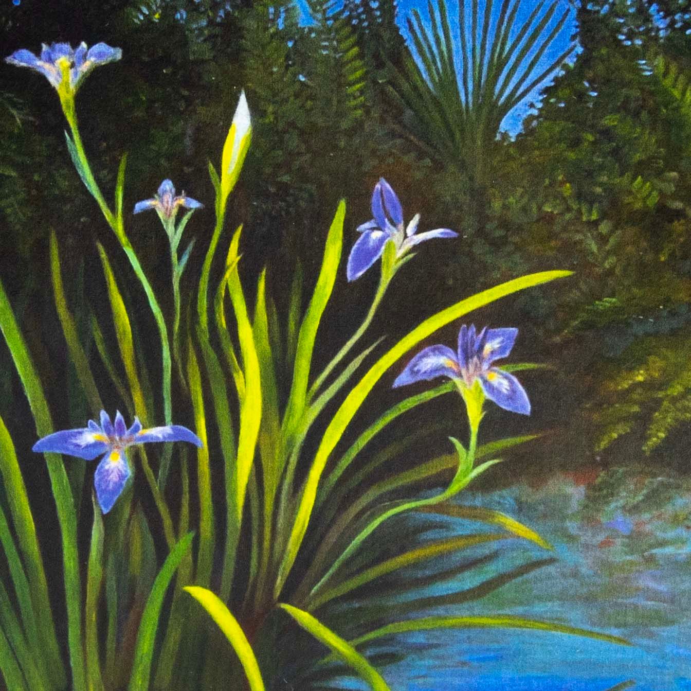 Blue Flag Irises, card COAE026