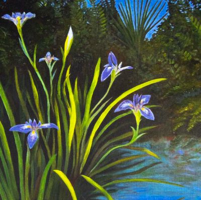 Blue Flag Irises, card COAE026