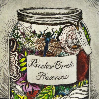 Brooker Creek Preserves, card COAE024