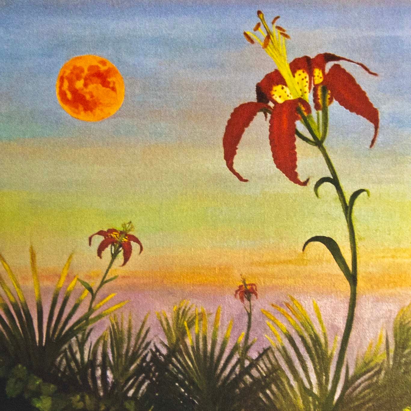 Catesby Lily at Moonrise, card COAE023