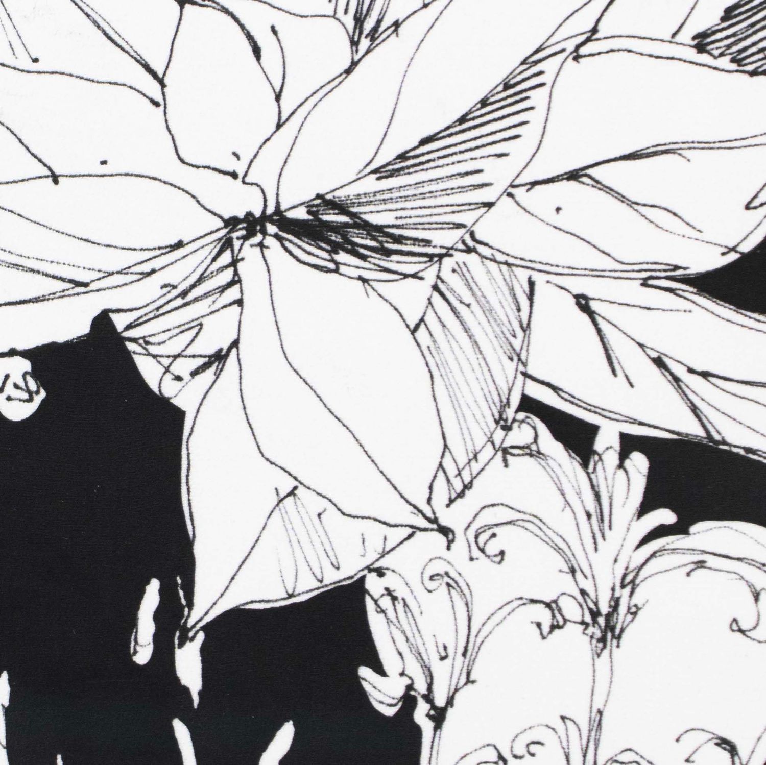 Flower Sketch in Black and White, card FOWB149