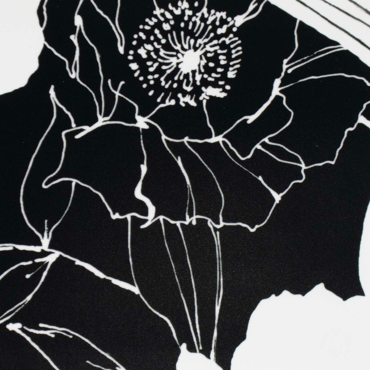 Black and White Line Drawn Flowers, card FOWB148
