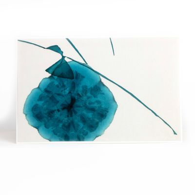 Indigo Blue Blossom, card FOWB167
