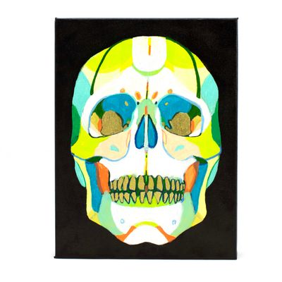 Skull, acrylic on canvas PHEJ091