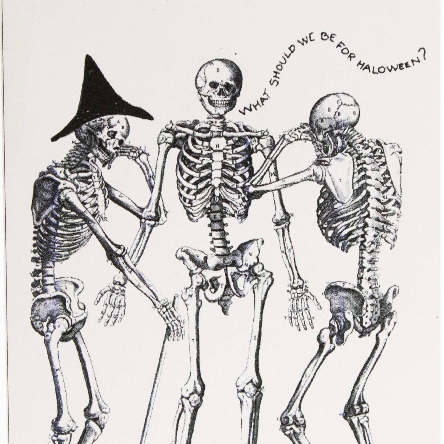 Halloween Skeleton Costume Debate, card DHOJ061