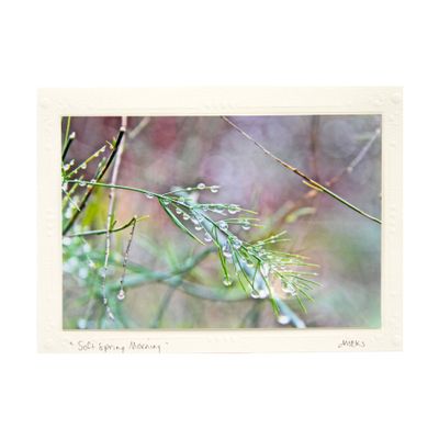 Soft Spring Morning, photo card SHAM044