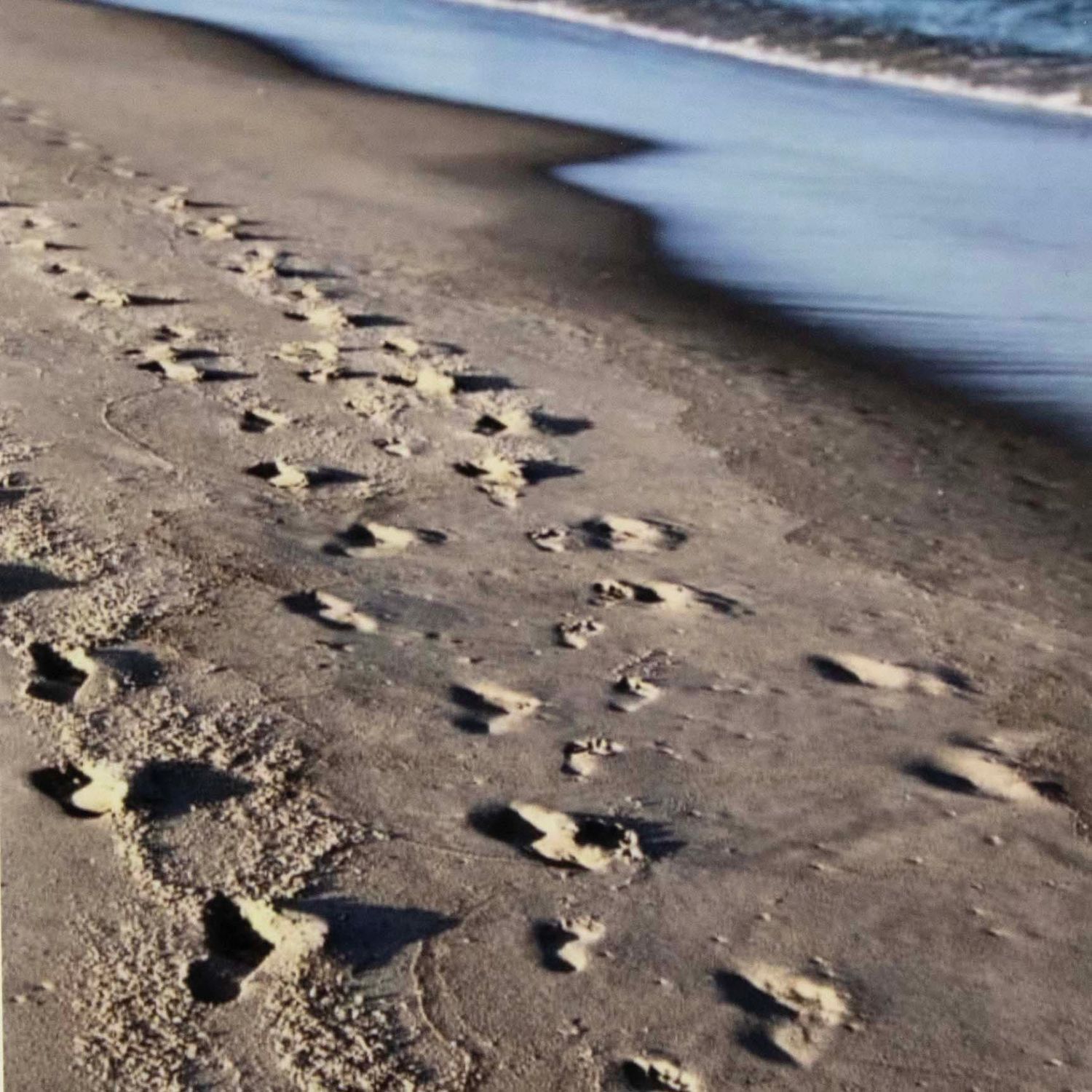 Photo notecard: Walk Beside You, card SHAM034