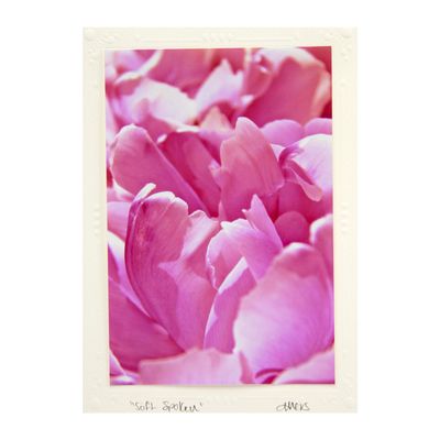 Softspoken, photo notecard SHAM036