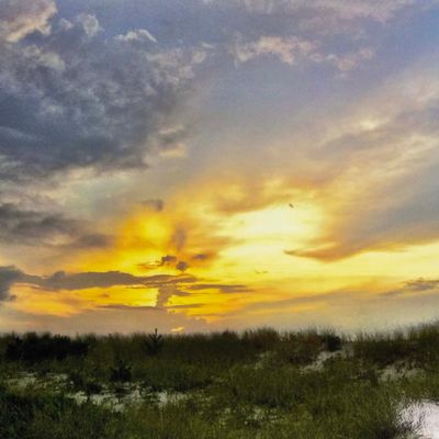 Photo notecard: Daybreak card SHAM033