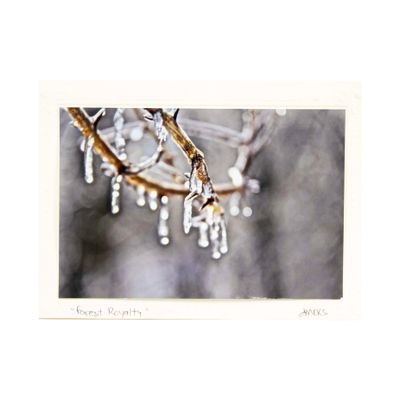 Forest Royalty, photo card SHAM040