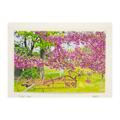 Local Color, Photo notecard SHAM037