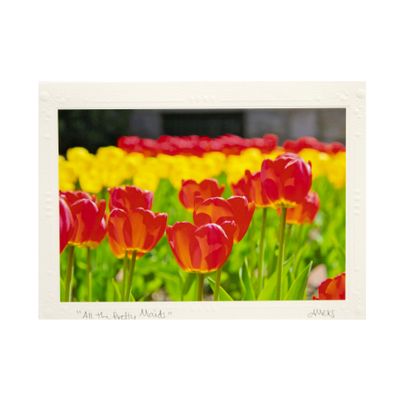 Photo notecard: All the Pretty Maids, card SHAM041