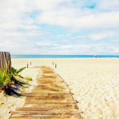 Photo notecard: The Pathway to Peace, card SHAM047