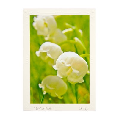 Perfect Bell, photo card SHAM051