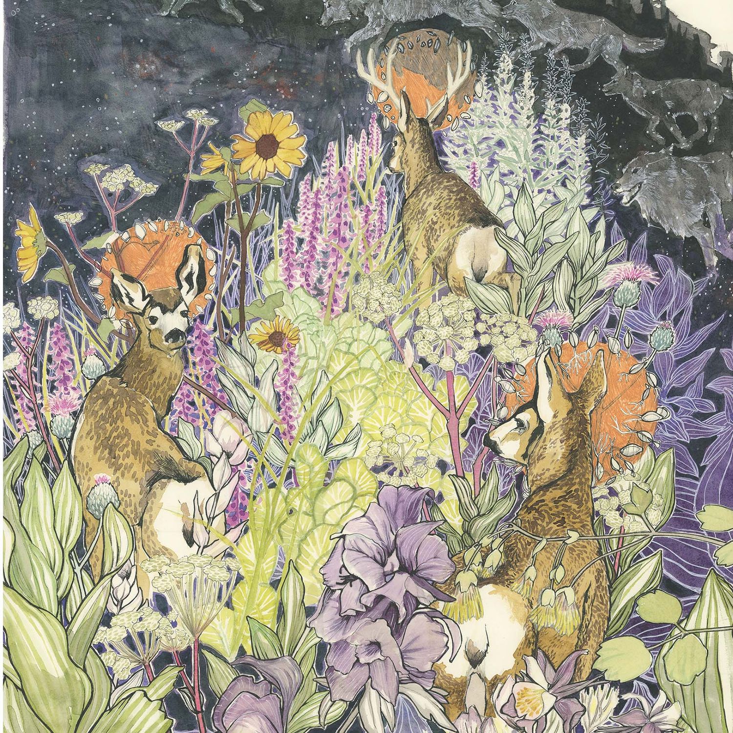 Poison Meadow, print MALK268