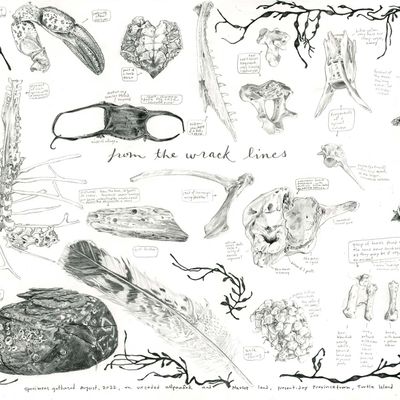 From the Wrack Lines, print MALK266