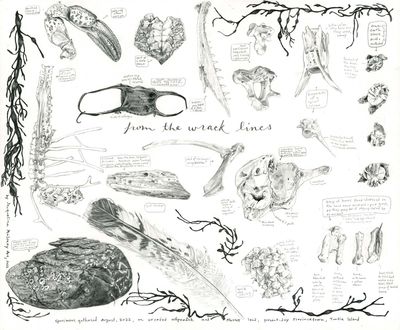 From the Wrack Lines, print MALK266