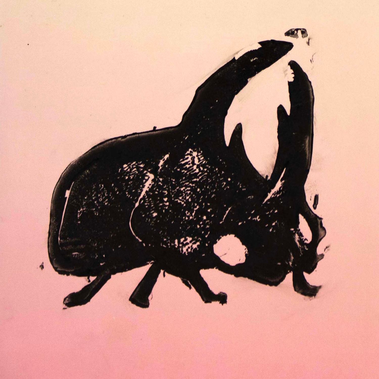 Horned Beetle on Rose Pink, journal LAPR693