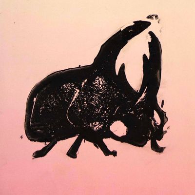 Horned Beetle on Rose Pink, journal LAPR693