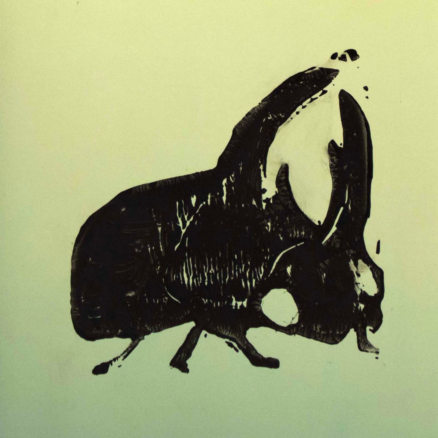 Horned Beetle on Green, journal LAPR694