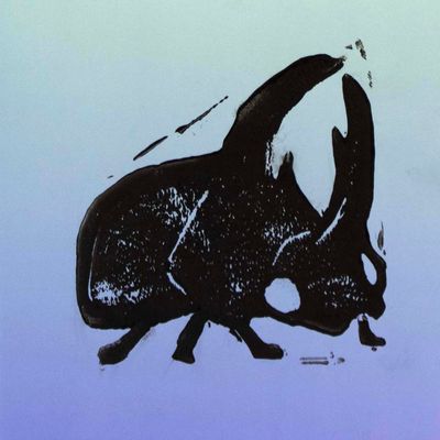 Horned Beetle on Blue, journal LAPR692