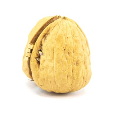 Mushroom with Fern, walnut painting GERS28