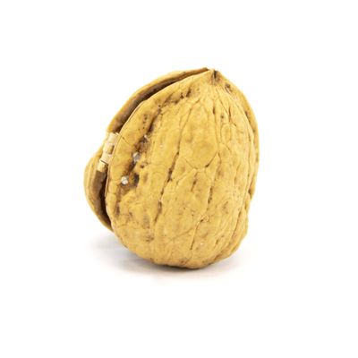 Bird and Cactus with Copper, walnut painting GERS29