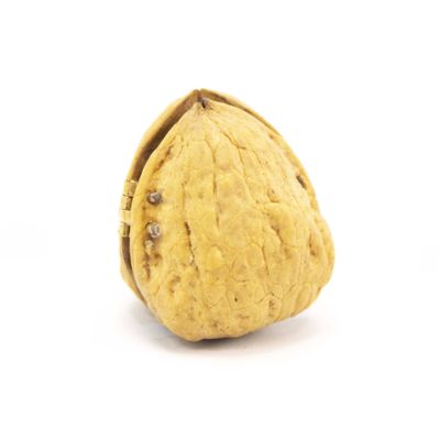 Luna Moth and Moon, walnut painting GERS27