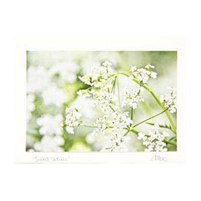 Sweet Dreams, photo card SHAM054