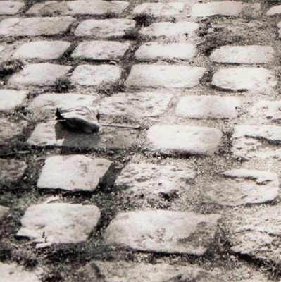Photo notecard: Cobble (Philly), card SHAM053