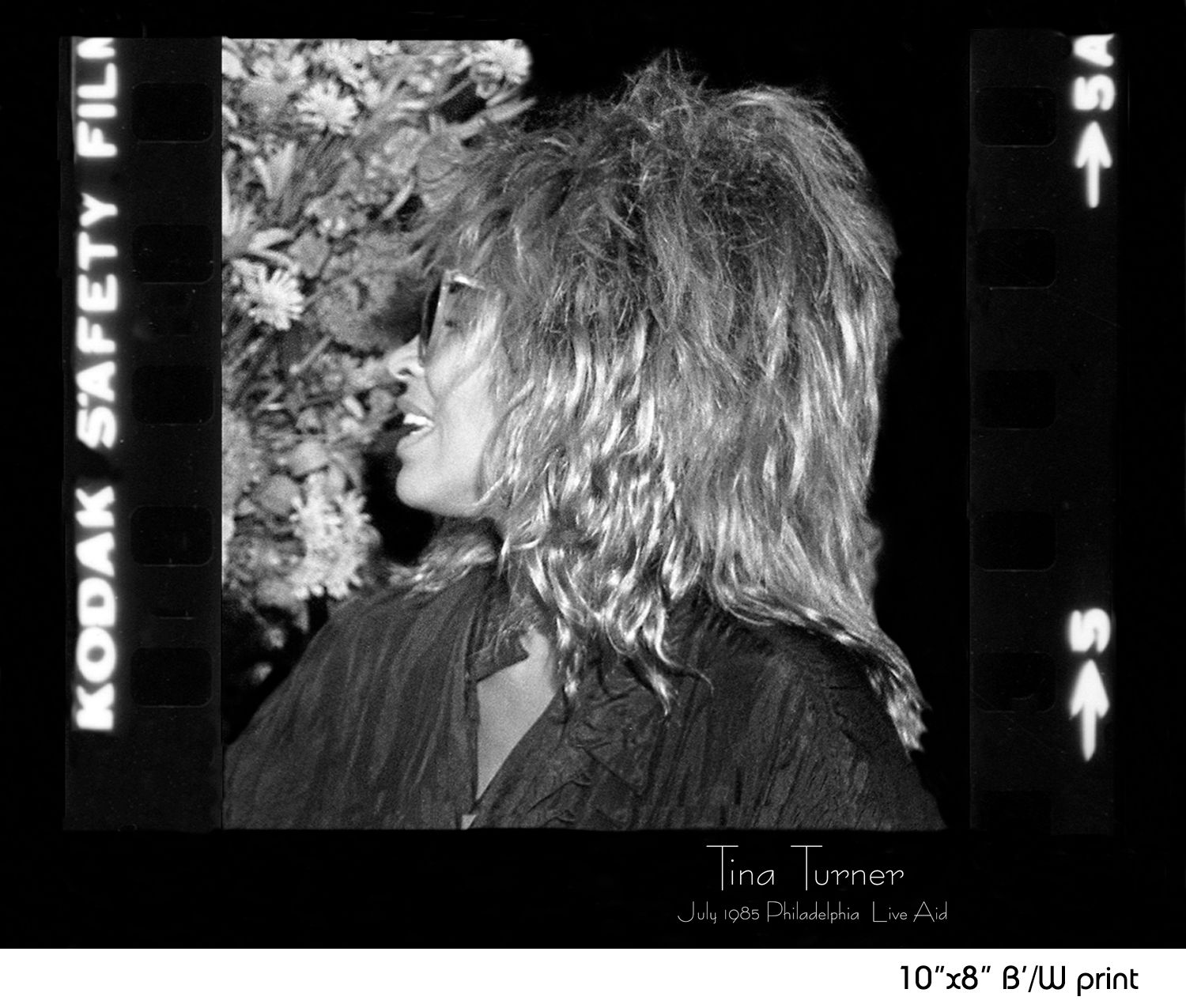 Tina Turner, photo print  WUIL21