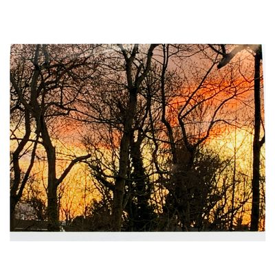 Sunset Trees Silhouette, photograph KINR03