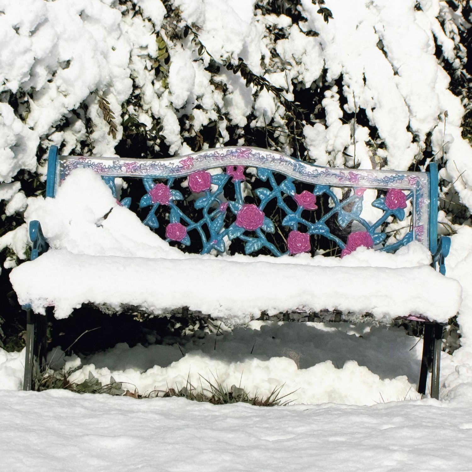 Bench Dusted with Snow, photograph KINR06
