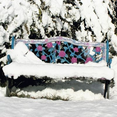 Bench Dusted with Snow, photograph KINR06