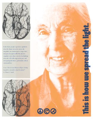 There's Something About Jane, screen print BABR12