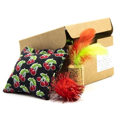 Cat Toys Mini Box BRYS10