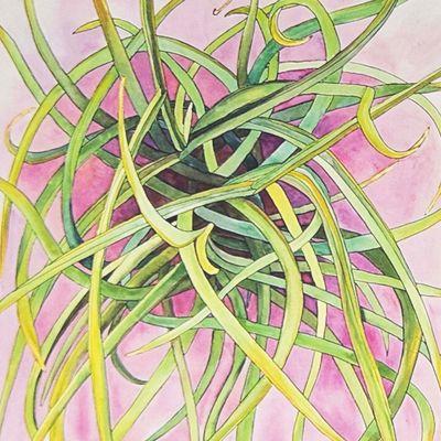 Spanish Moss, card BARC262