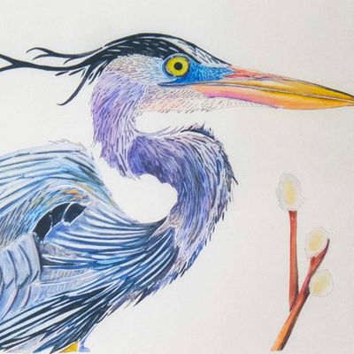 Great Blue Heron, card BARC254