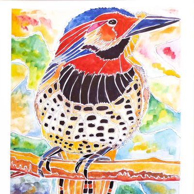 Northern Flicker with Black Mat, print BARC272 Northern Flicker with Black Mat, print BARC272