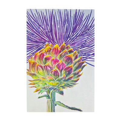 Wild Artichoke, card BARC264