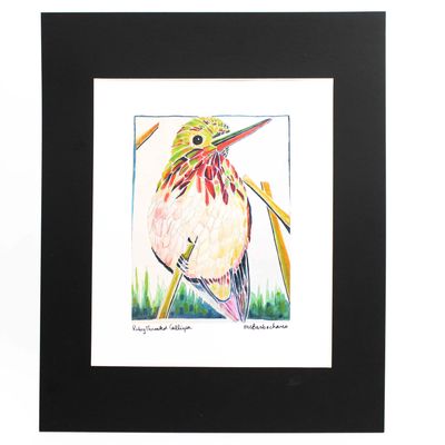 Ruby Throated Calliope with Black Mat, print BARC275