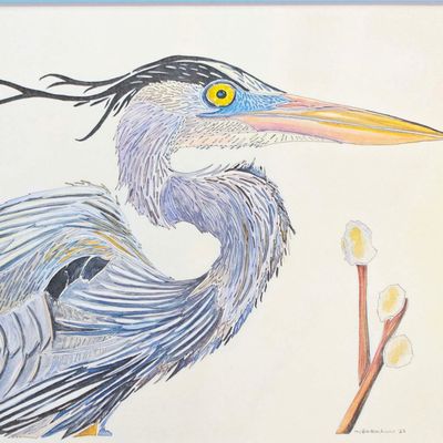 Great Blue Heron with Soft Blue Mat, print BARC277