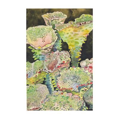 Pixie Cup Lichen, card BARC257