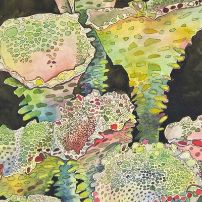 Pixie Cup Lichen, card BARC257