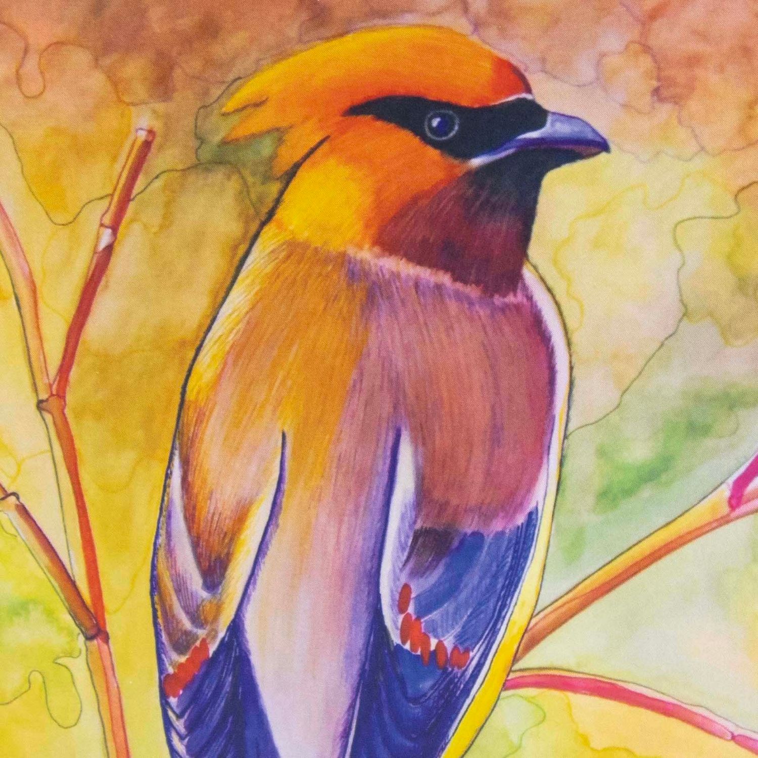 Cedar Waxwing, card BARC251