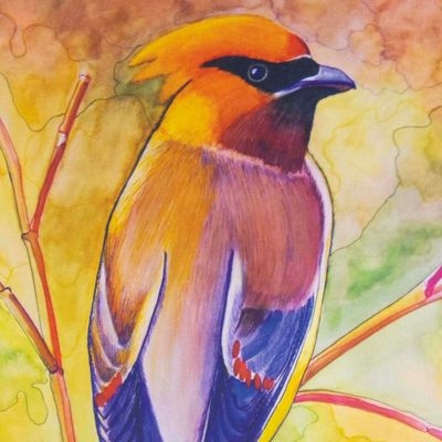 Cedar Waxwing, card BARC251