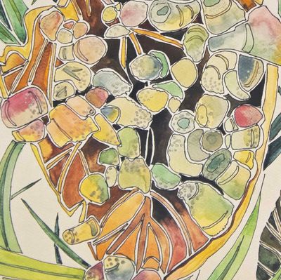 Leafy Fungus, card BARC255